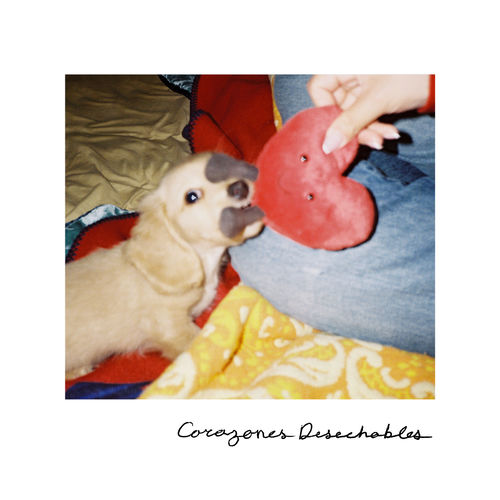 Corazones Desechables artwork
