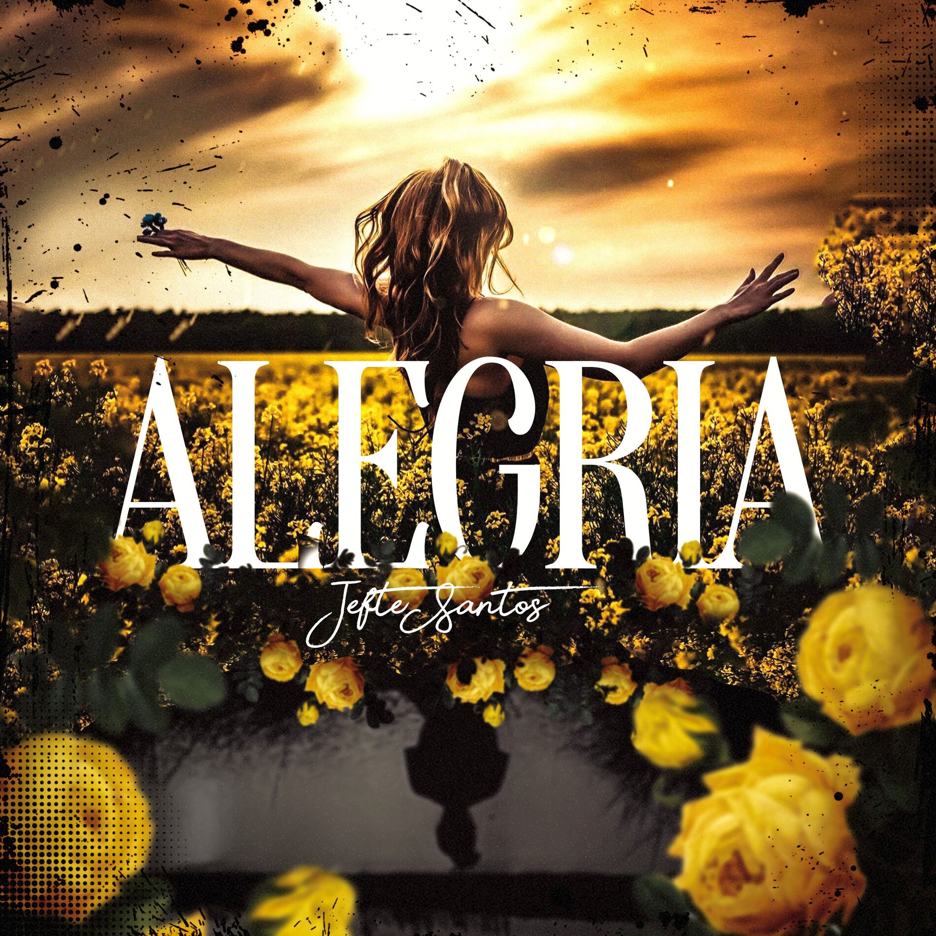 Album cover of Alegria