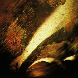 Cover of IV