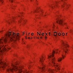 Cover of The Fire Next Door