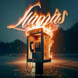 Cover of LLAMAS