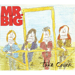 Cover of Take Cover