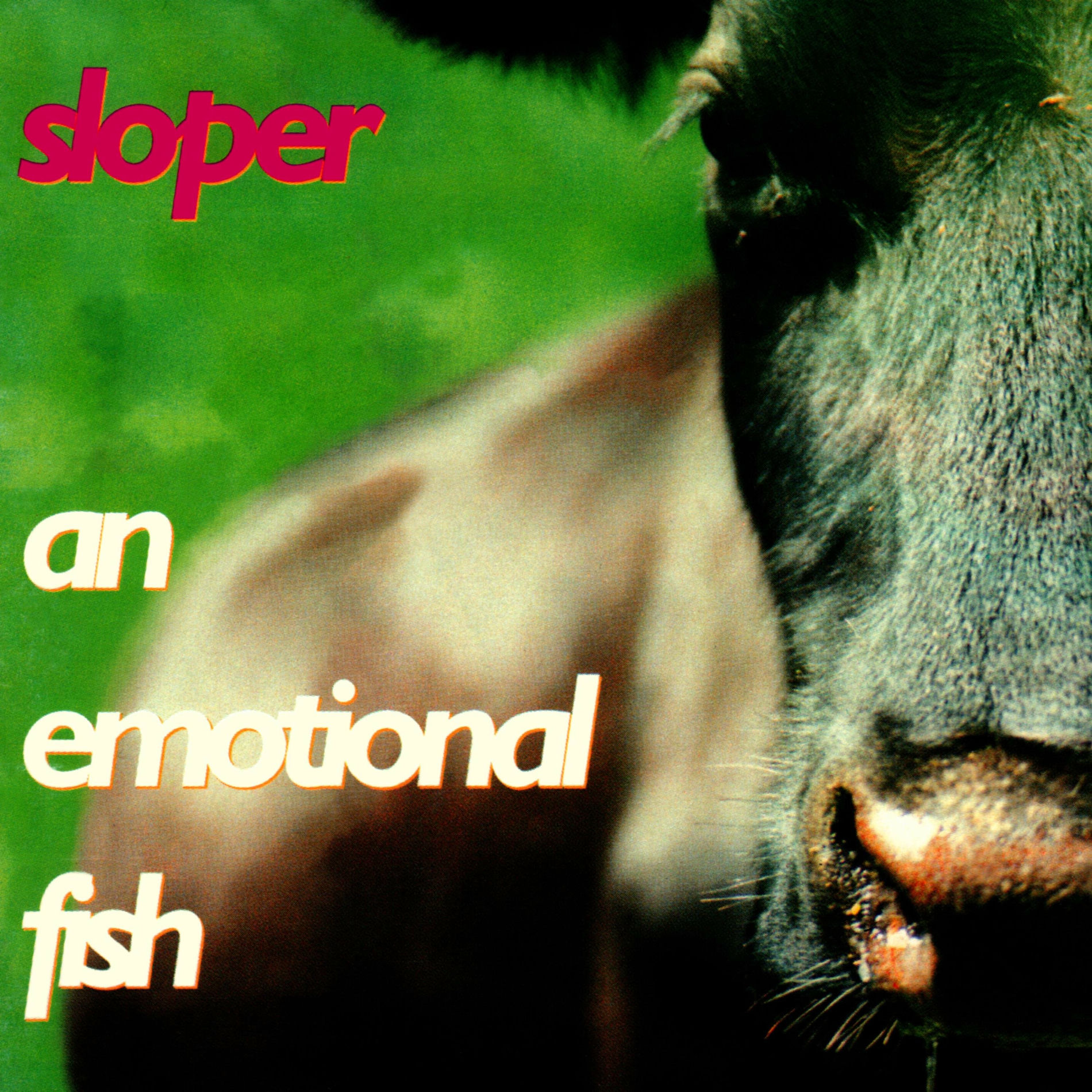 An Emotional Fish - Celebrate | Deezer
