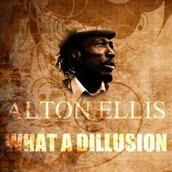 Cover of What a Dillusion