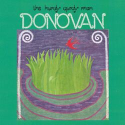 Cover of The Hurdy Gurdy Man