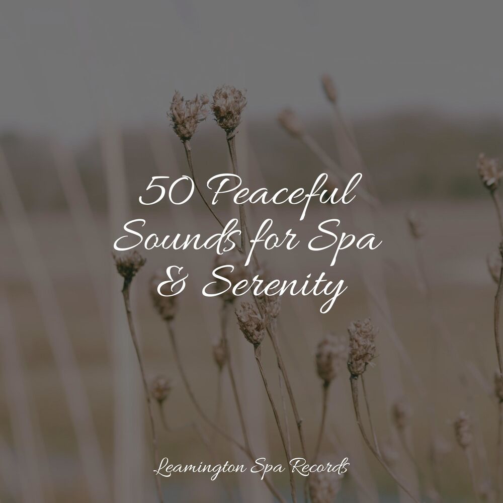 Picture of 50 Peaceful Sounds for Spa & Serenity