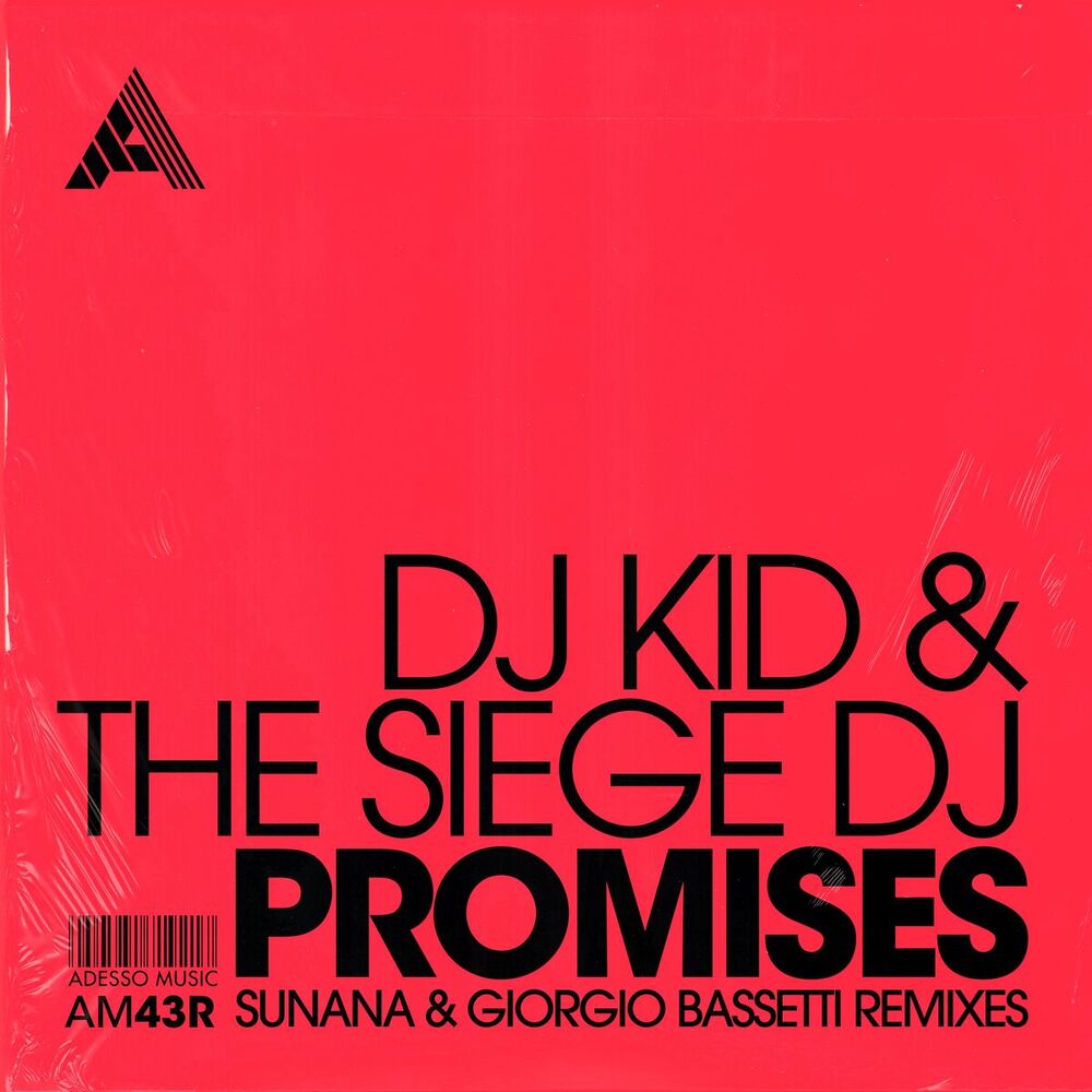 Picture of Promises (SUNANA & Giorgio Bassetti Remixes)