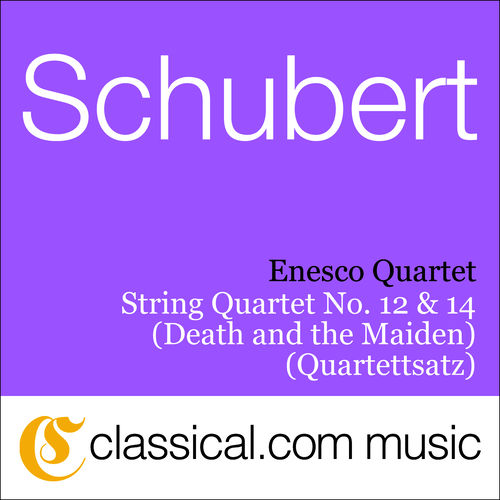 Staring Death in the Eye by Enesco Quartet - 142 BPM
