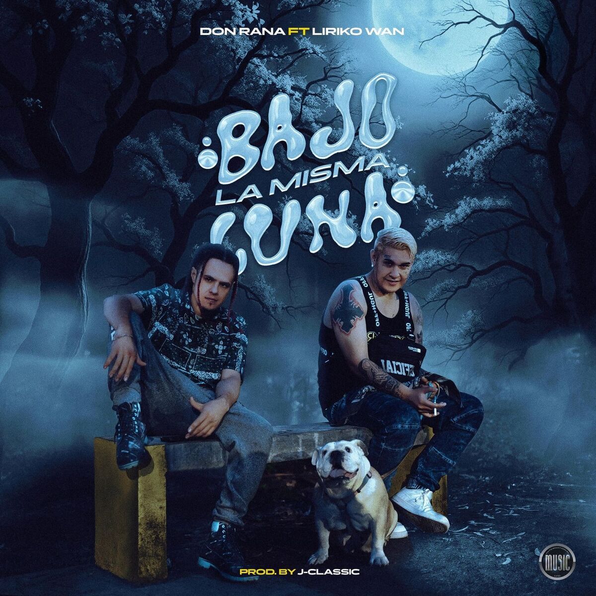 Album cover of Bajo La Misma Luna