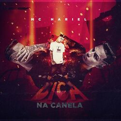 Cover of Bica Na Canela