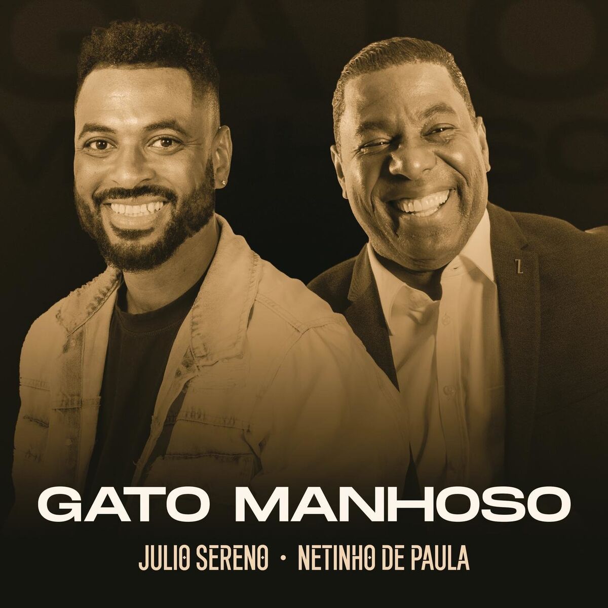 Album cover of Gato Manhoso