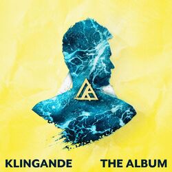 Cover of The Album