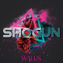 Cover of Walls