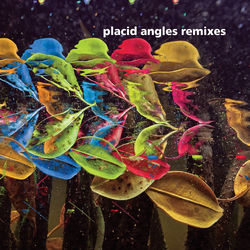 When The Sun Shines Through by Placid Angles