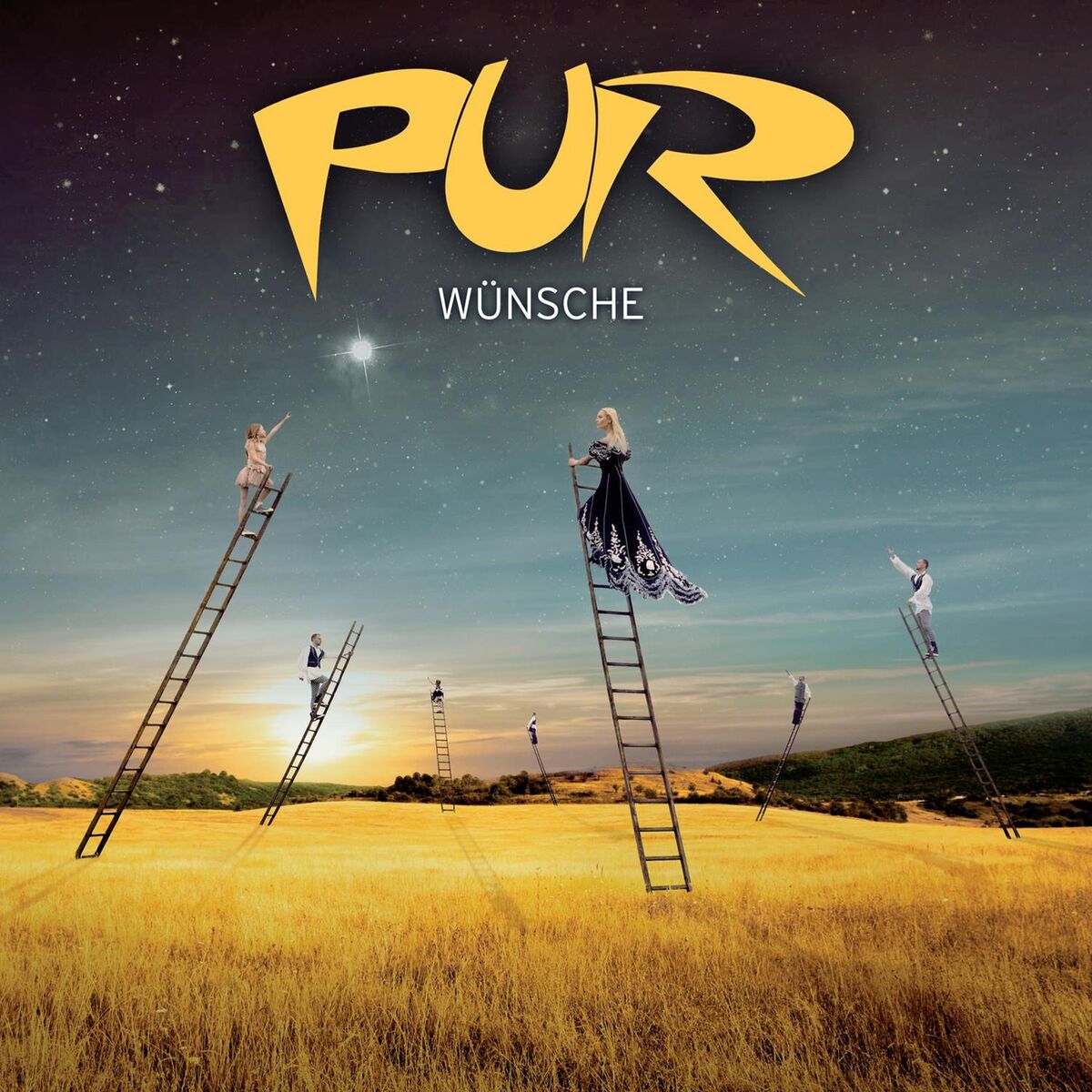 Album cover of Wünsche