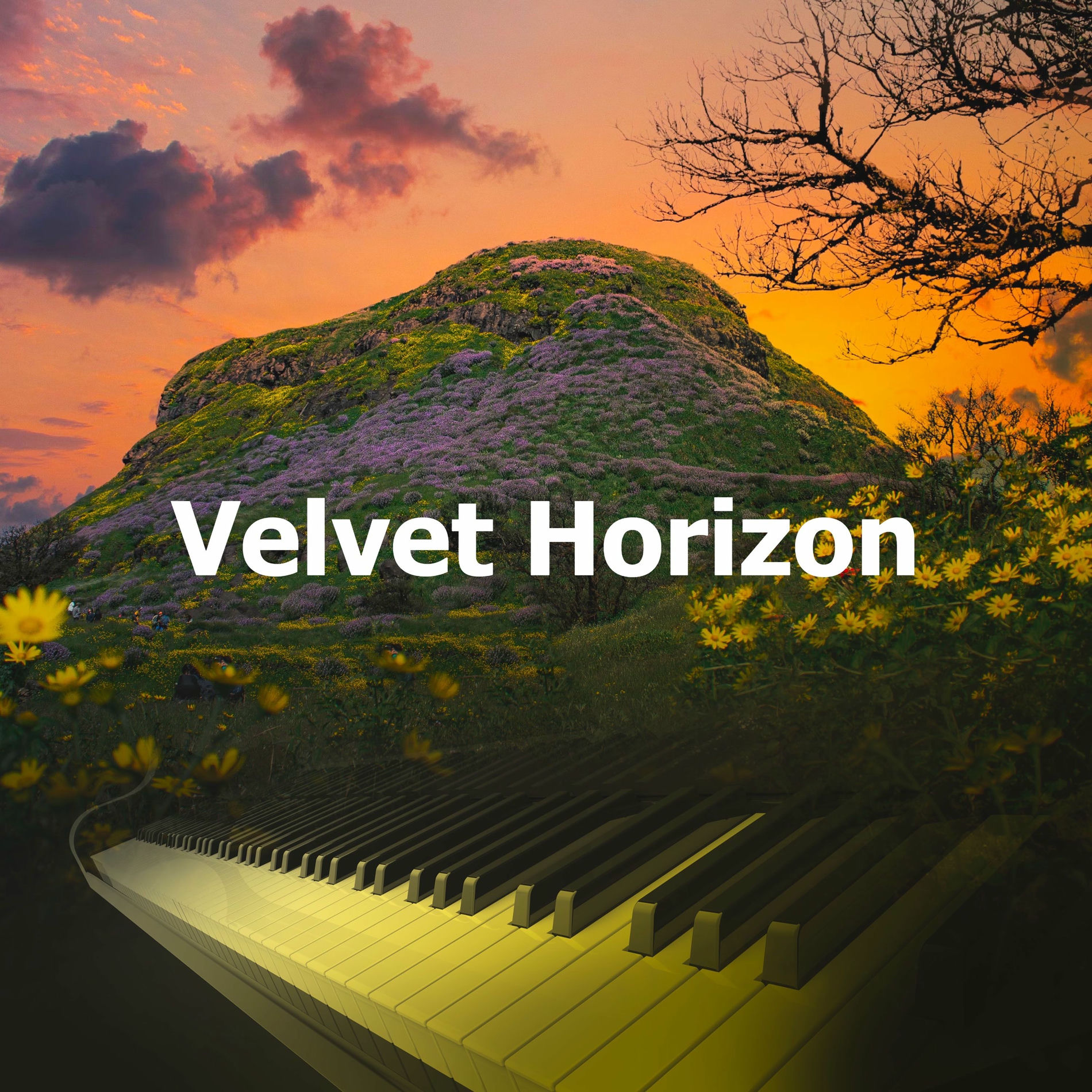 Album cover of Velvet Horizon