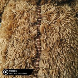 Cover of Stitches