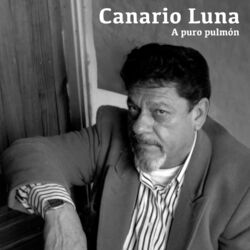 Cover of A Puro Pulmón (En Vivo)