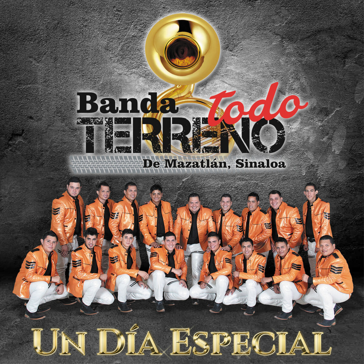 Album cover of Un Día Especial