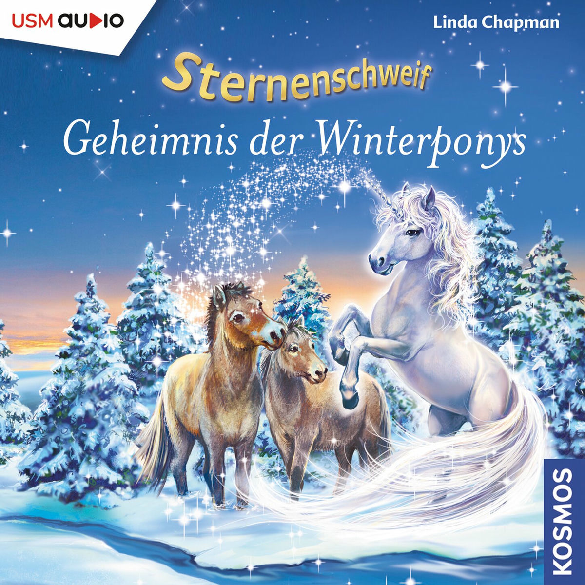 Album cover of Kapitel 1 - Teil 55: Geheimnis der Winterponys