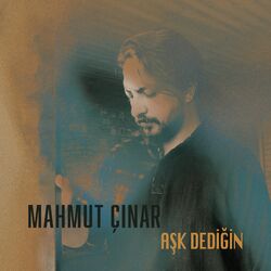 Cover of Aşk Dediğin