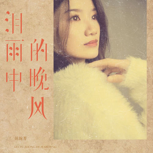 泪雨中的晚风 (DJ版)