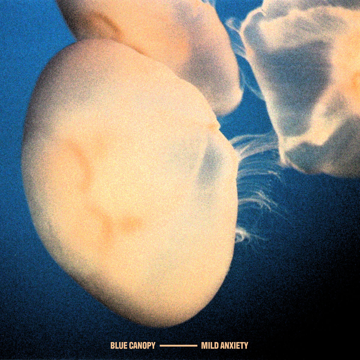 Album cover of 656