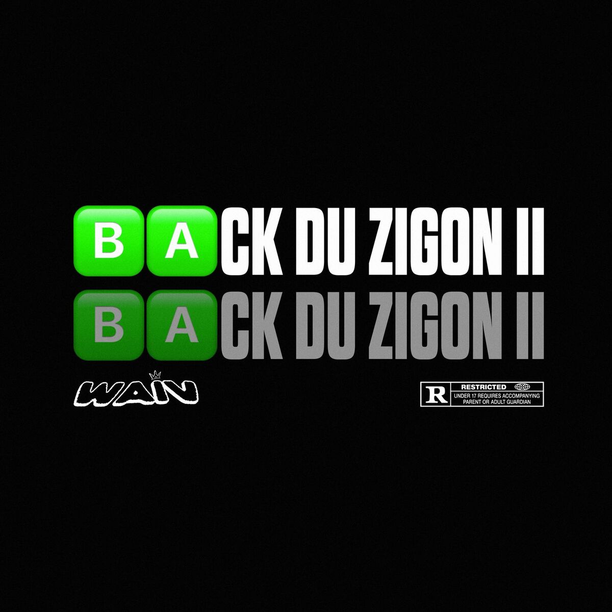 Album cover of Back du zigon II