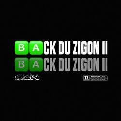 Cover of Back du zigon II