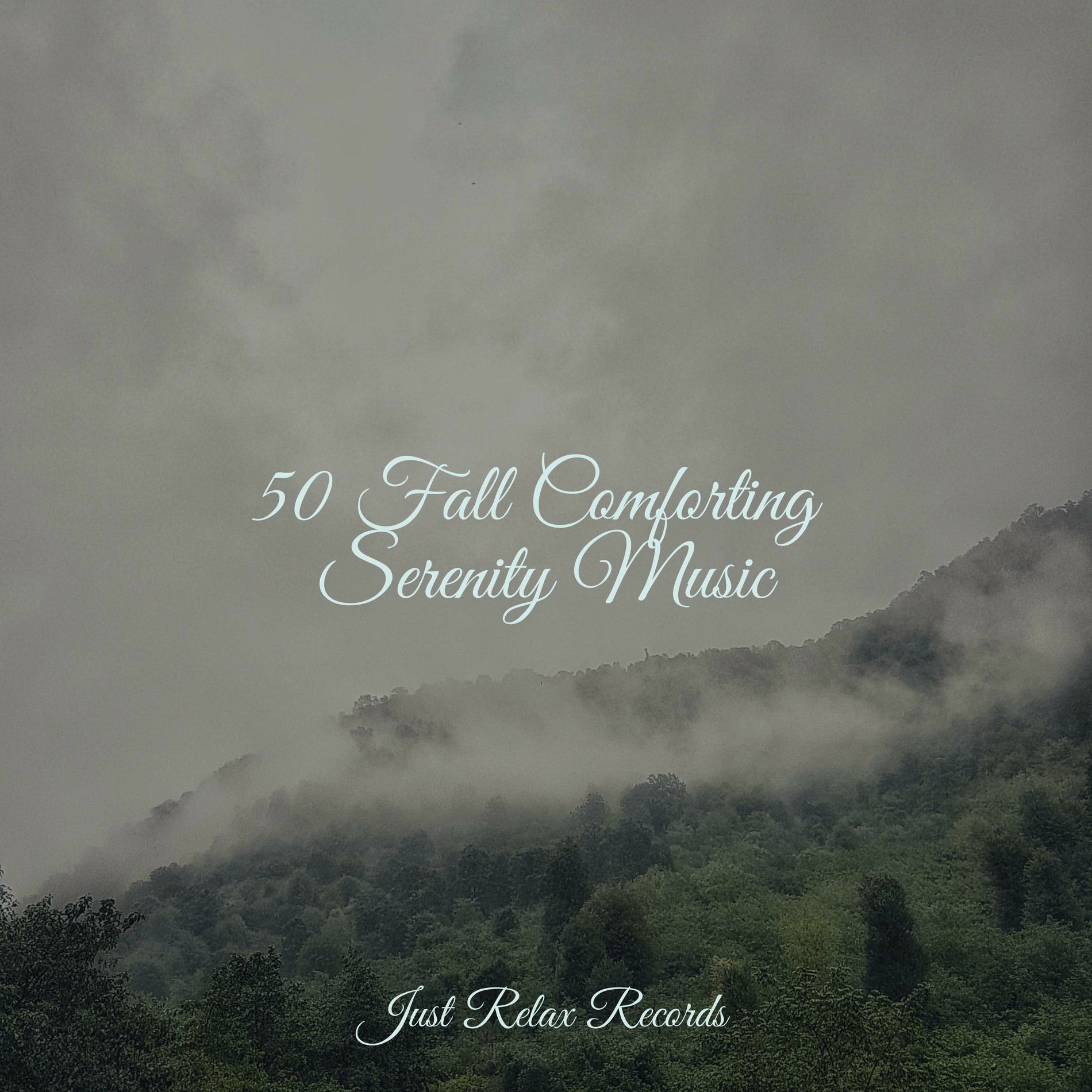Album cover of 50 Fall Comforting Serenity Music