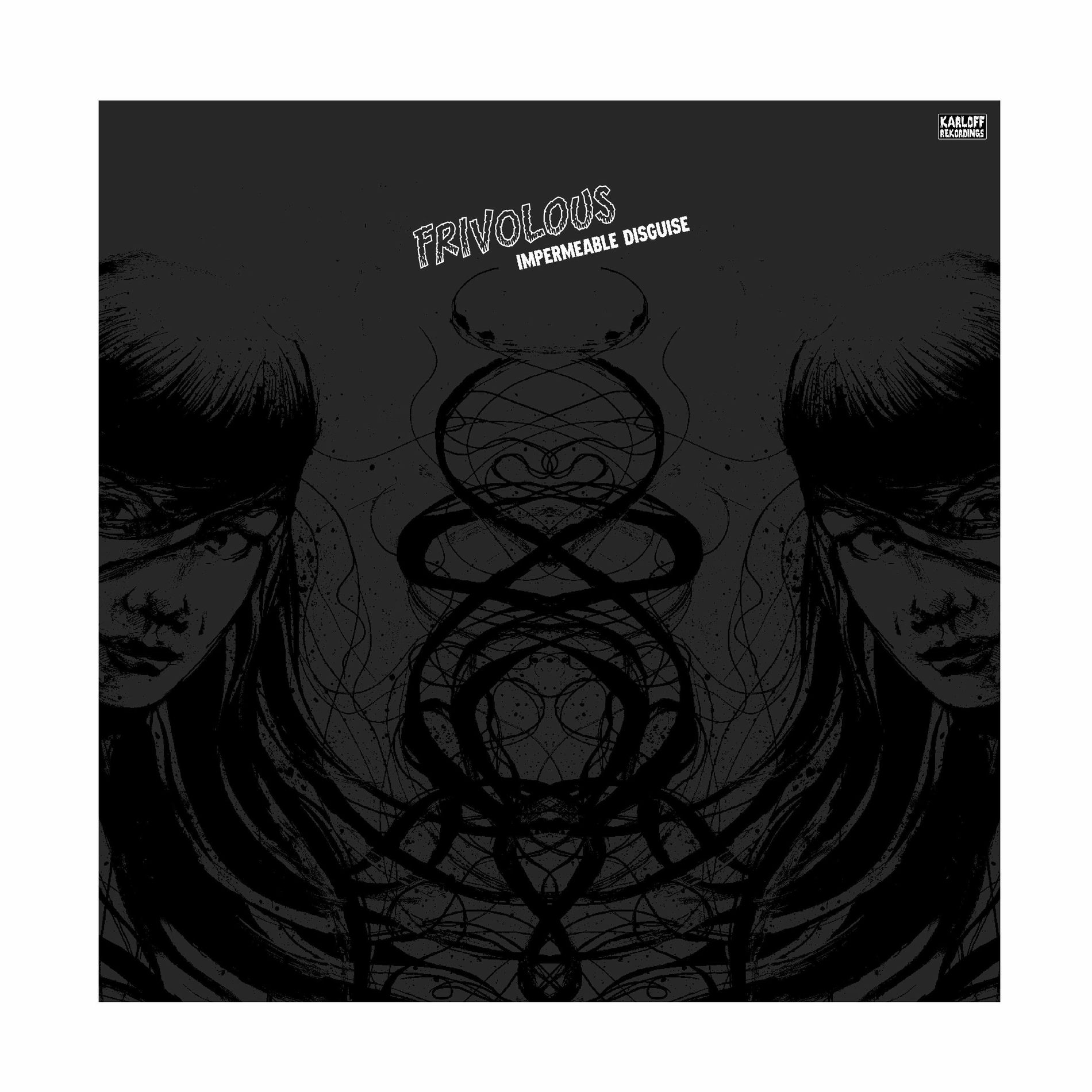 Album cover of Impermeable Disguise