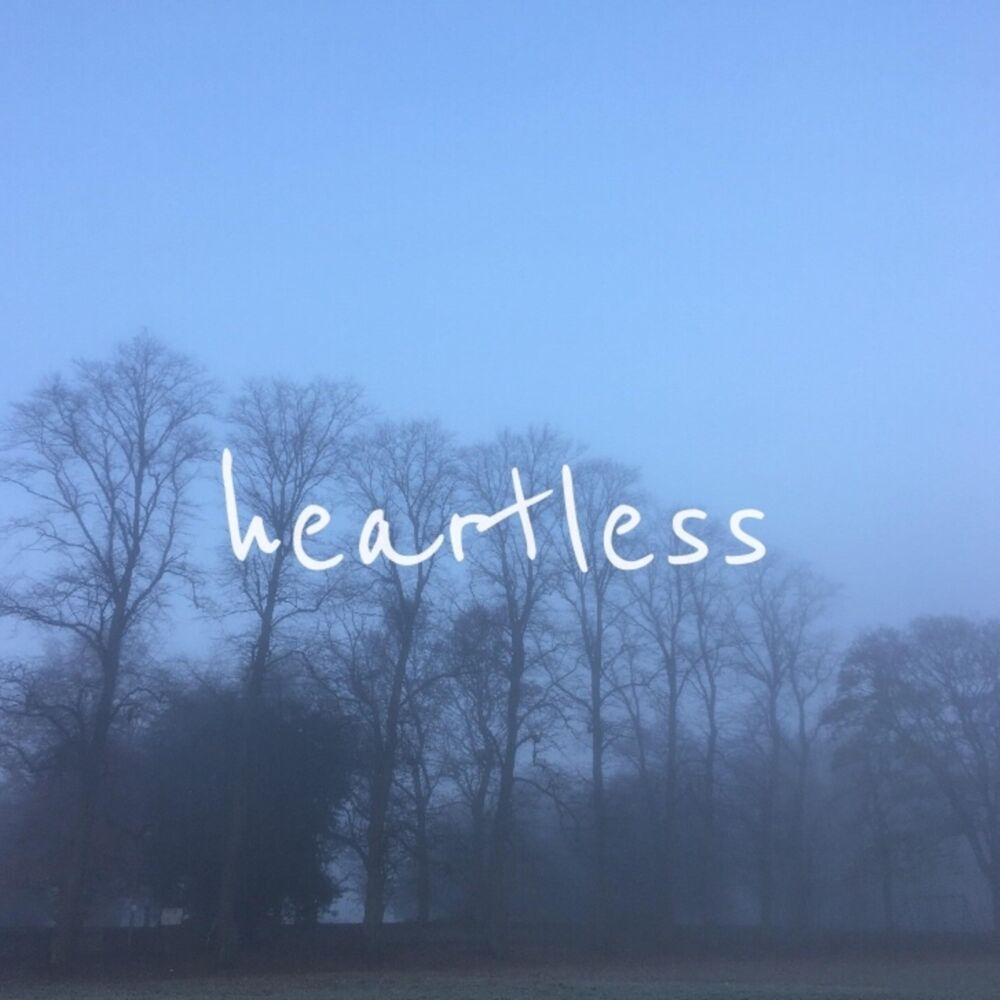 Picture of Heartless