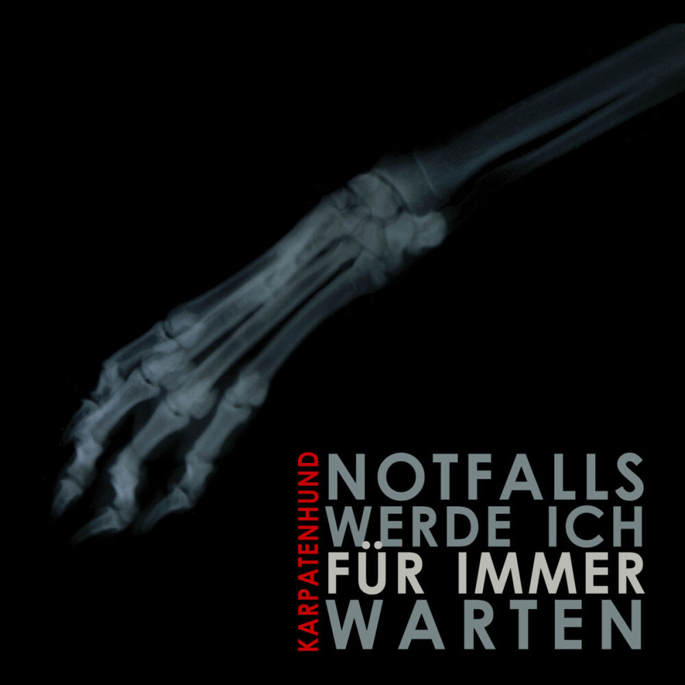 Picture of Notfalls Werde Ich Für Immer Warten