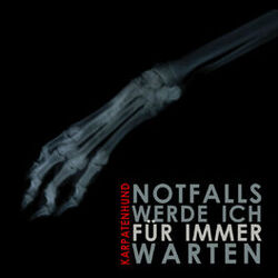 Cover of Notfalls Werde Ich Für Immer Warten