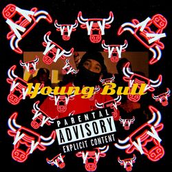 Cover of YOUNG BULL
