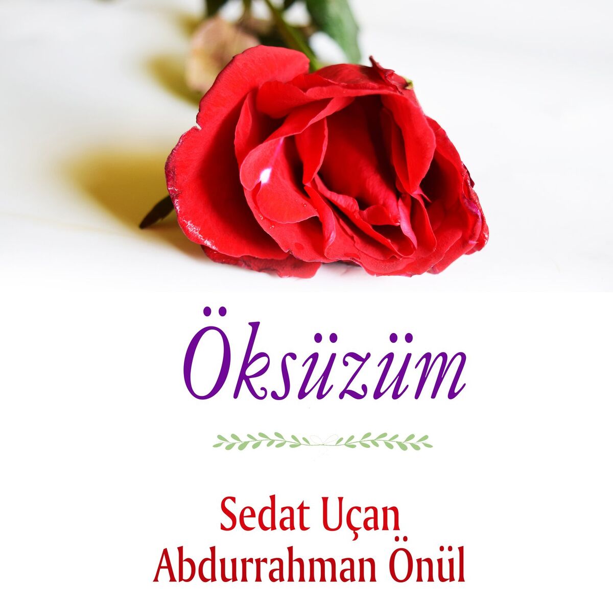 Album cover of Gururlanma İnsanoğlu