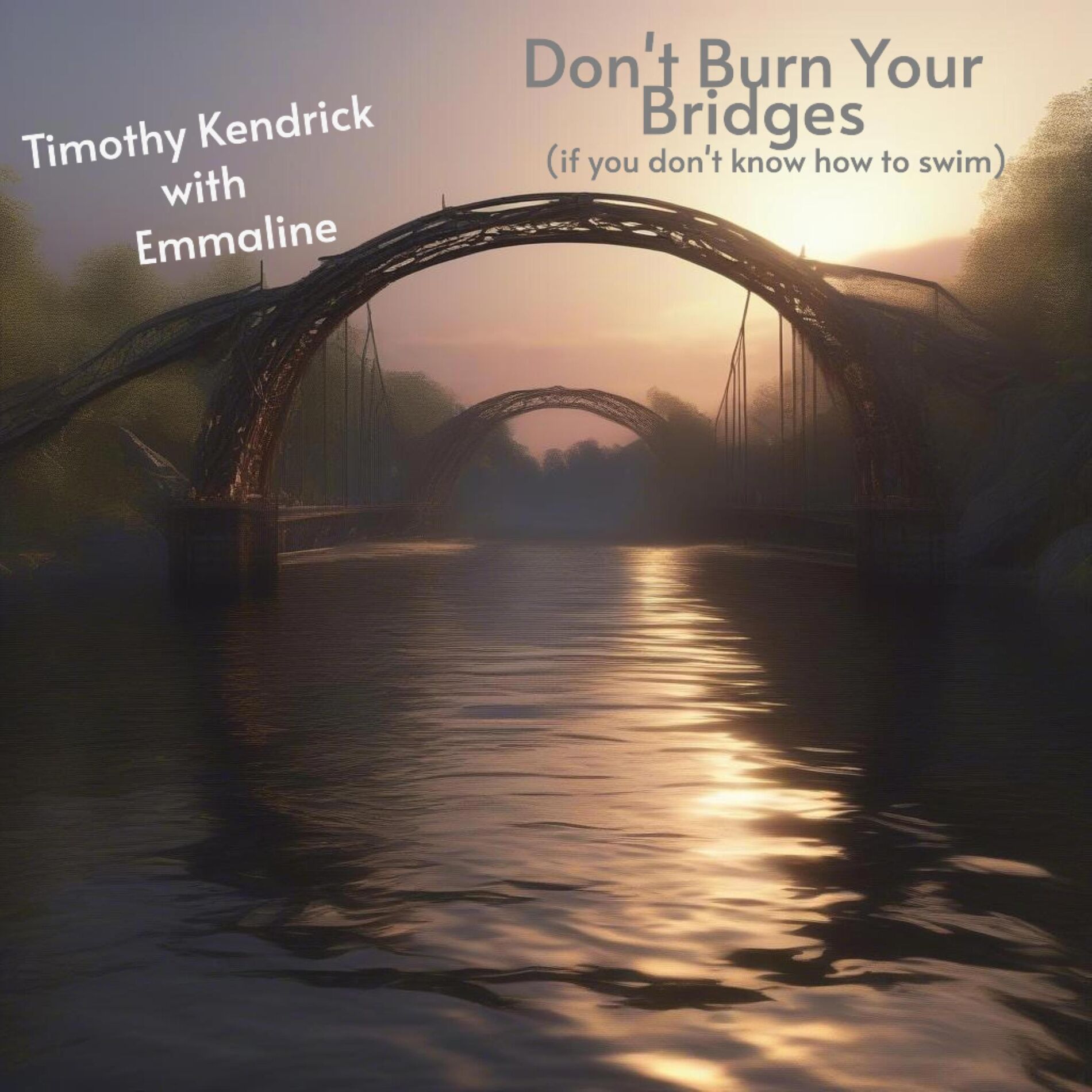 Album cover of Don't Burn Your Bridges (if you don't know how to swim) (feat. Emmaline)
