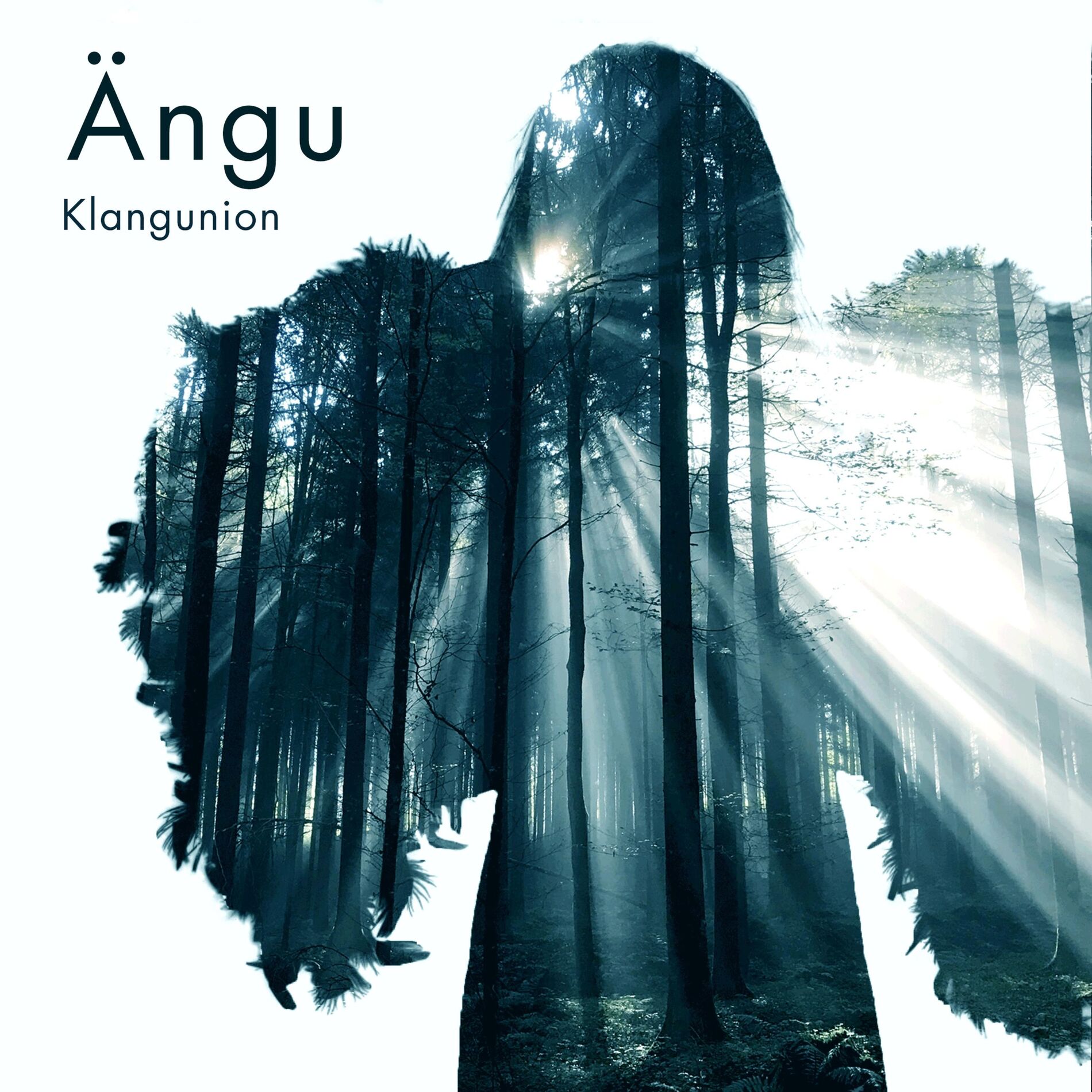 Album cover of Ängu