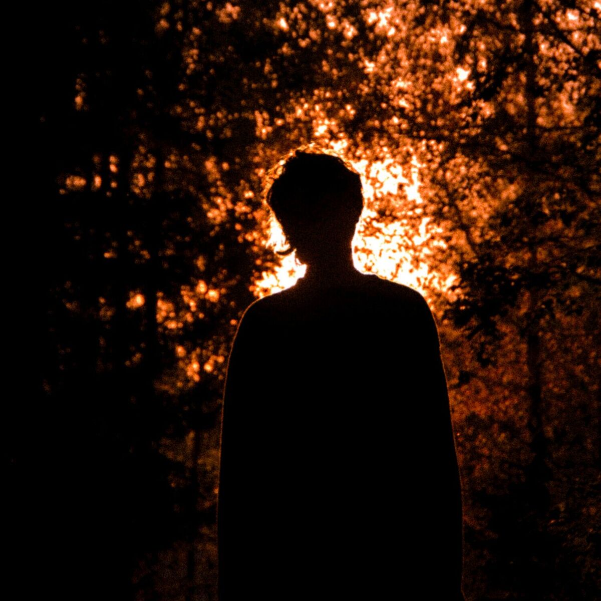 Album cover of Deep Nature