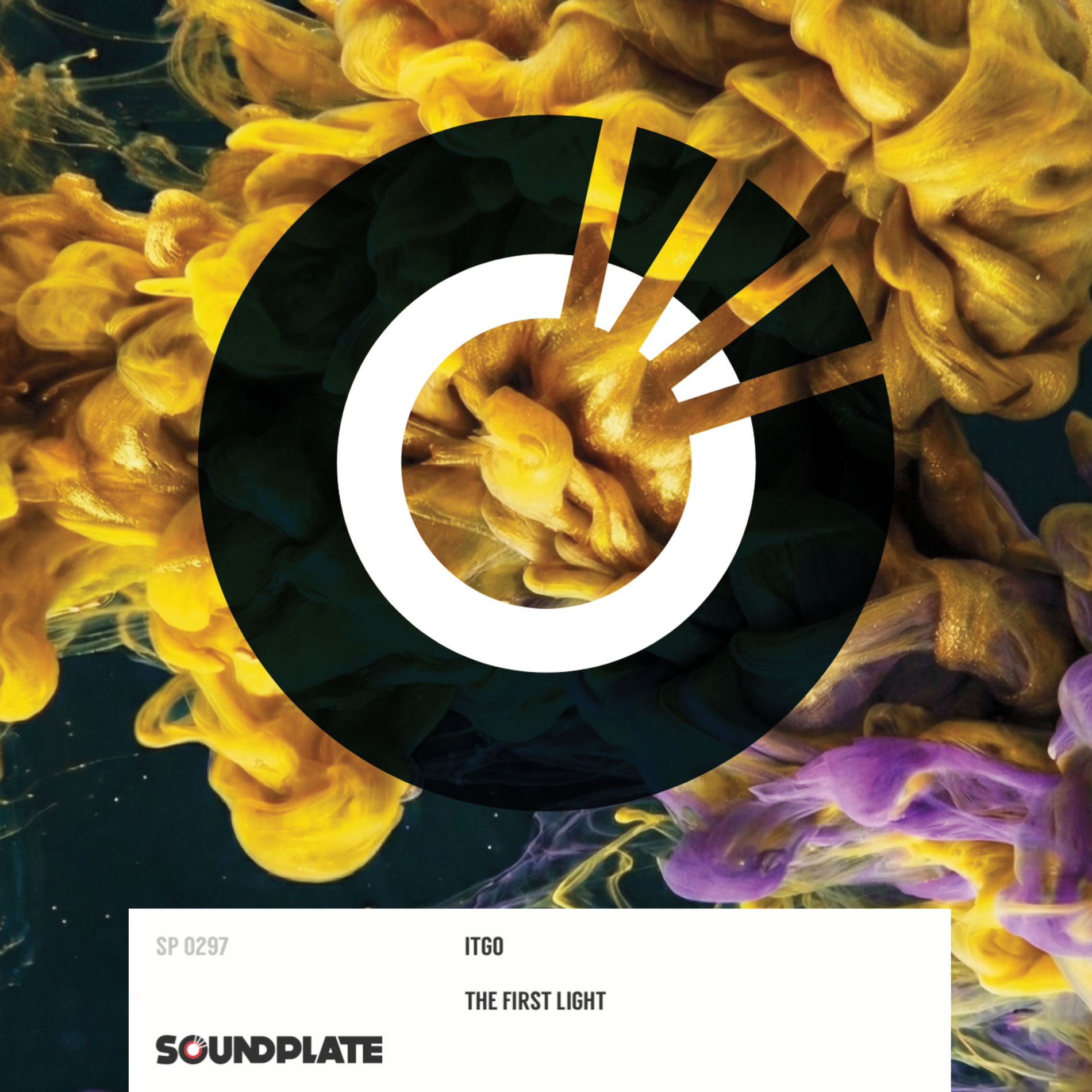 Album cover of The First Light