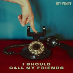 Cover of i should call my friends