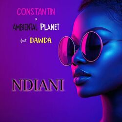 Cover of Ndiani