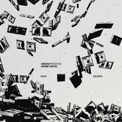 Cover of Money Bags