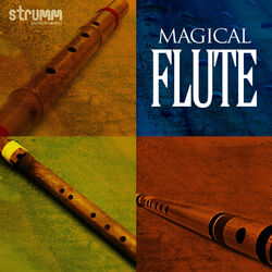 Cover of Magical Flute