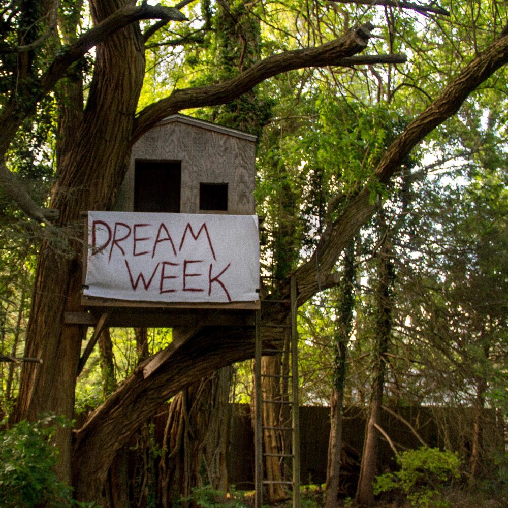 Picture of Dream Week