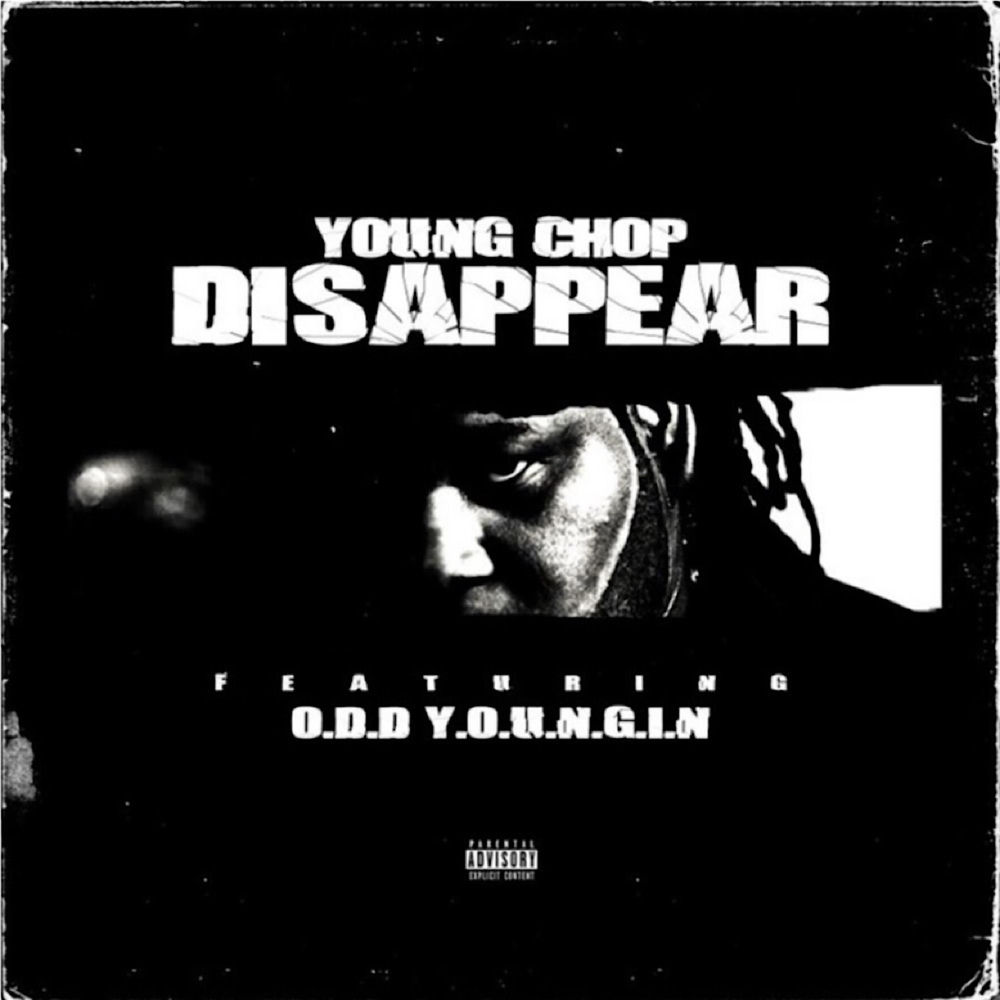 Disappear cover