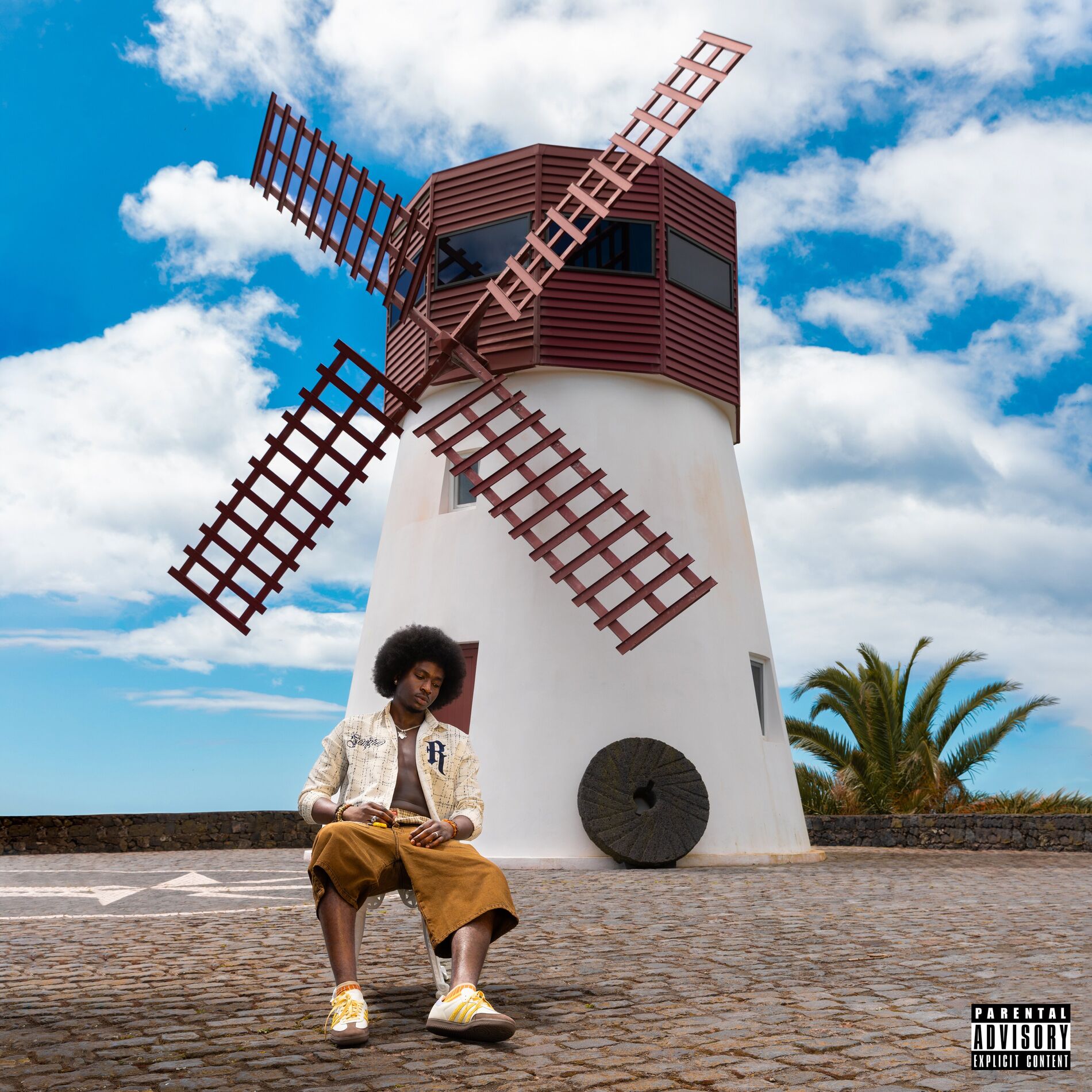 Album cover of Embellishments
