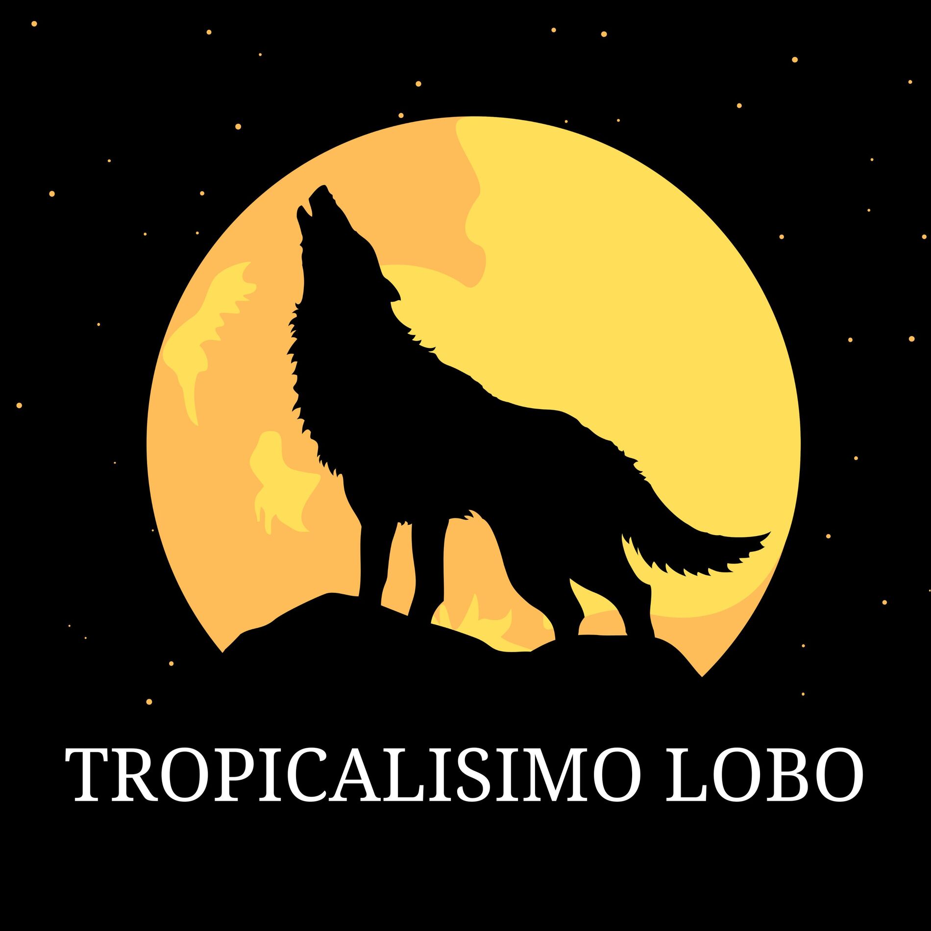Album cover of Solo Cumbias