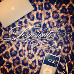 Cover of Te mientes by undefined