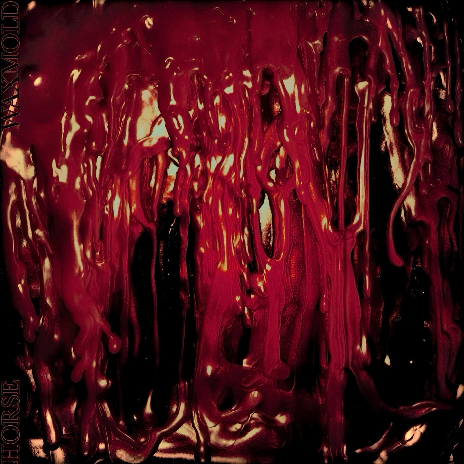 Album cover of Waxmold